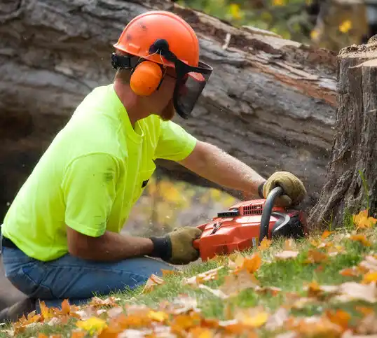 tree services Ontario